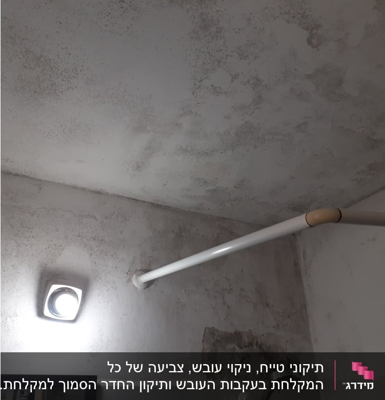 תקרה עם כתמי עובש ולכלוך, זקוקה לצביעה